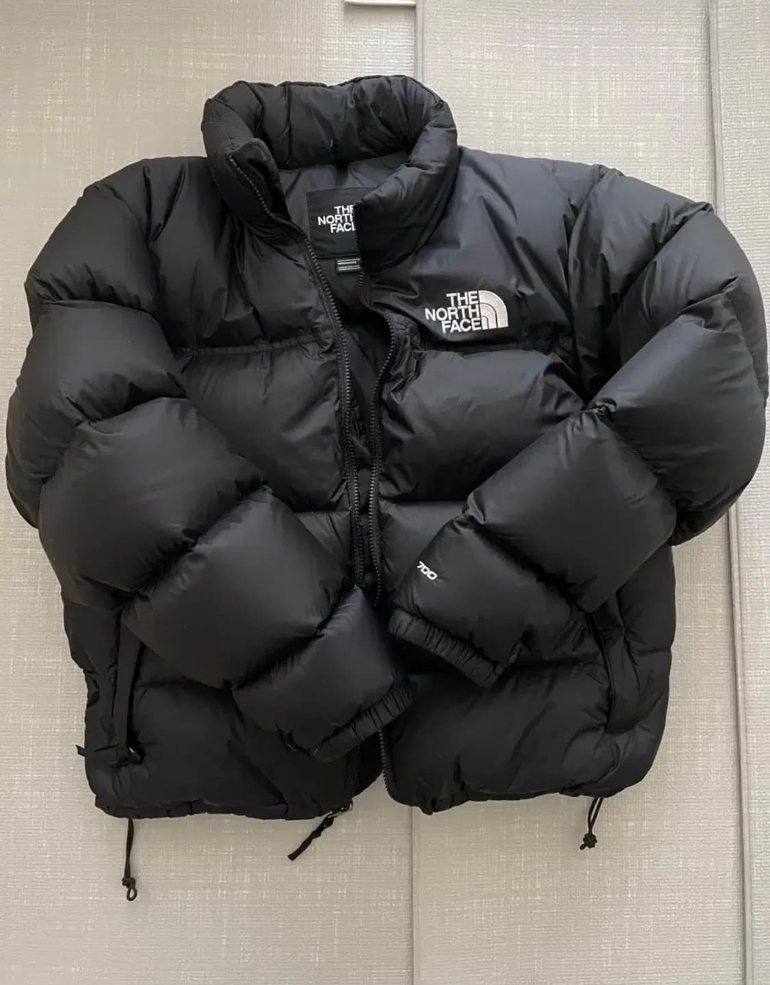 노스페이스 1996 레트로 눕시 해외판 L 상품이미지1