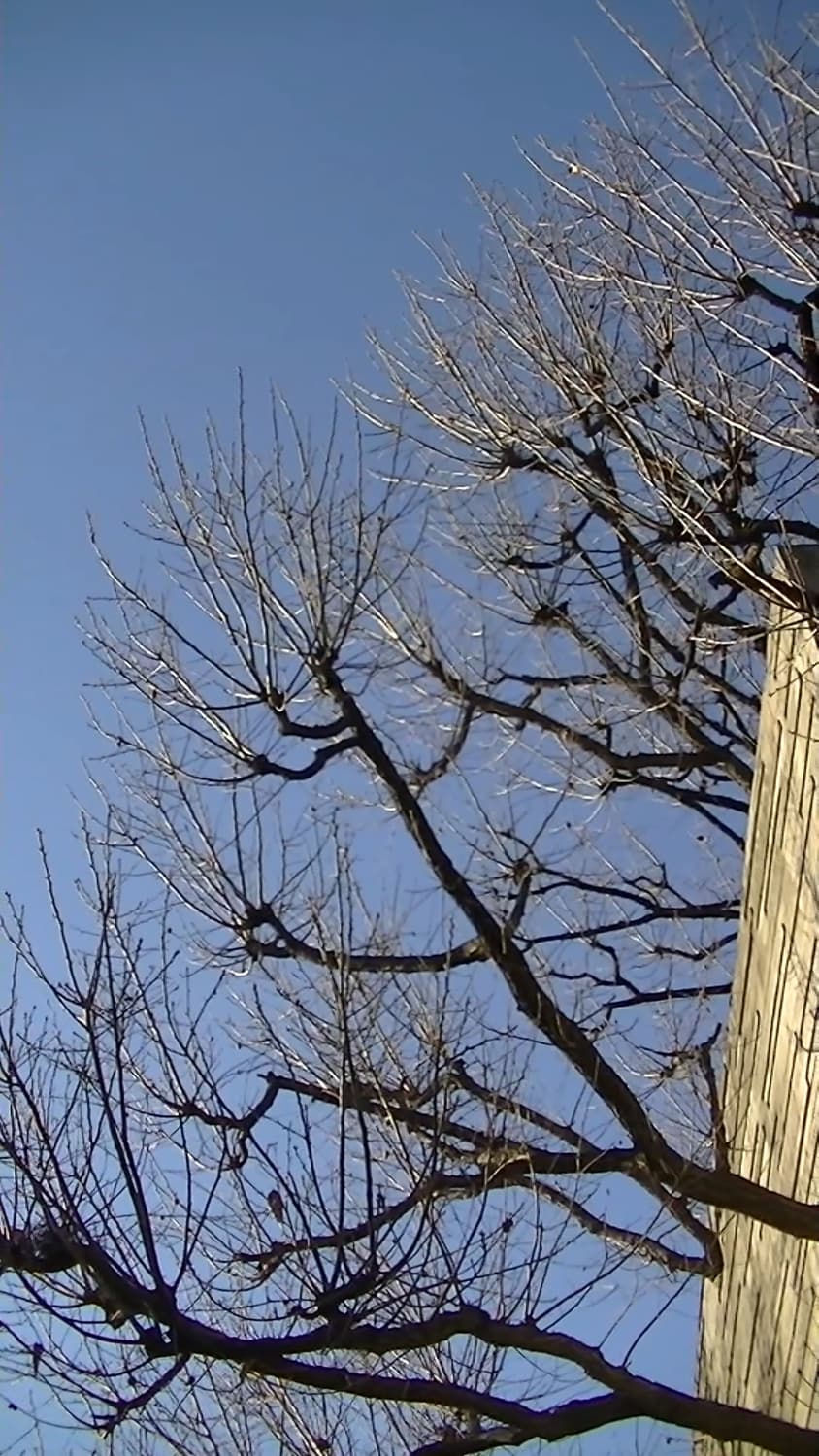 카리나캠코더) S급 JVC 에브리오 GZ-E117-R 본체만ㅣ작례👌 상품이미지9