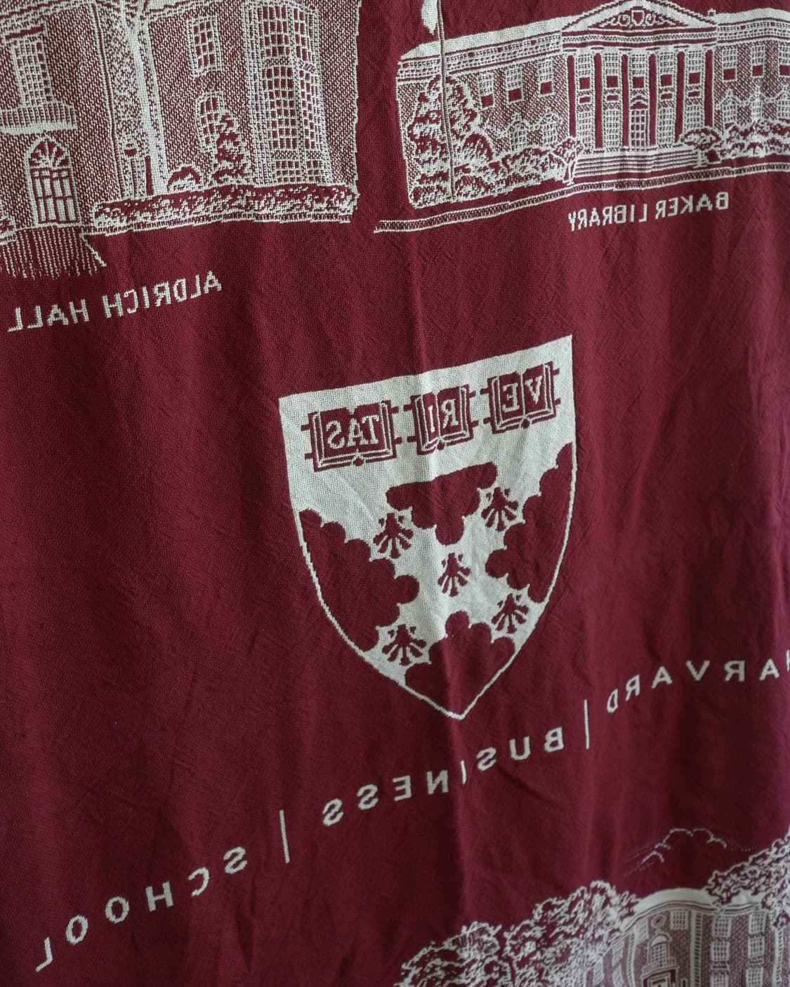 Havard 상품이미지5