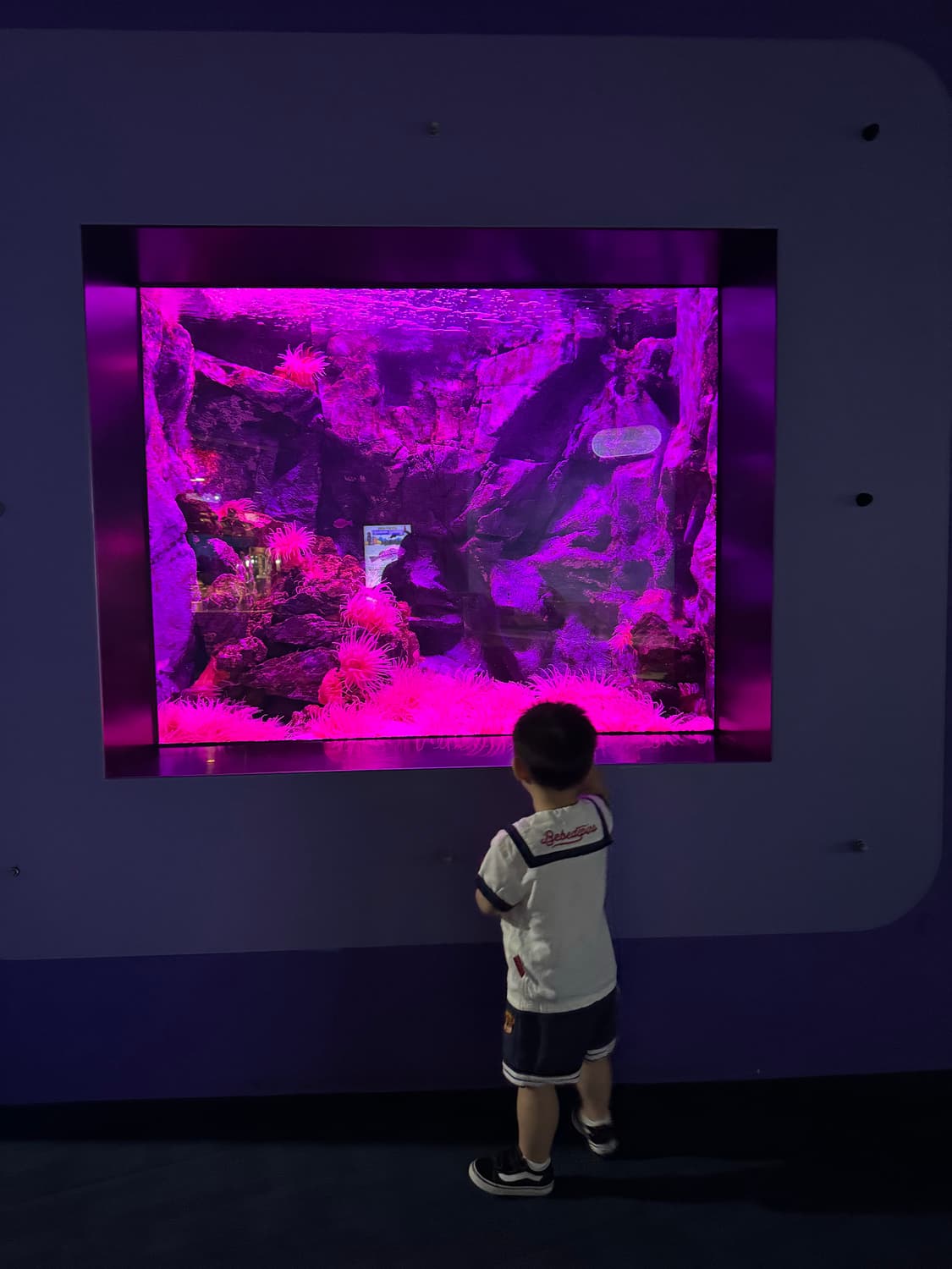 노매뉴얼 S.L WIDE PANTS - BLACK 상품이미지5