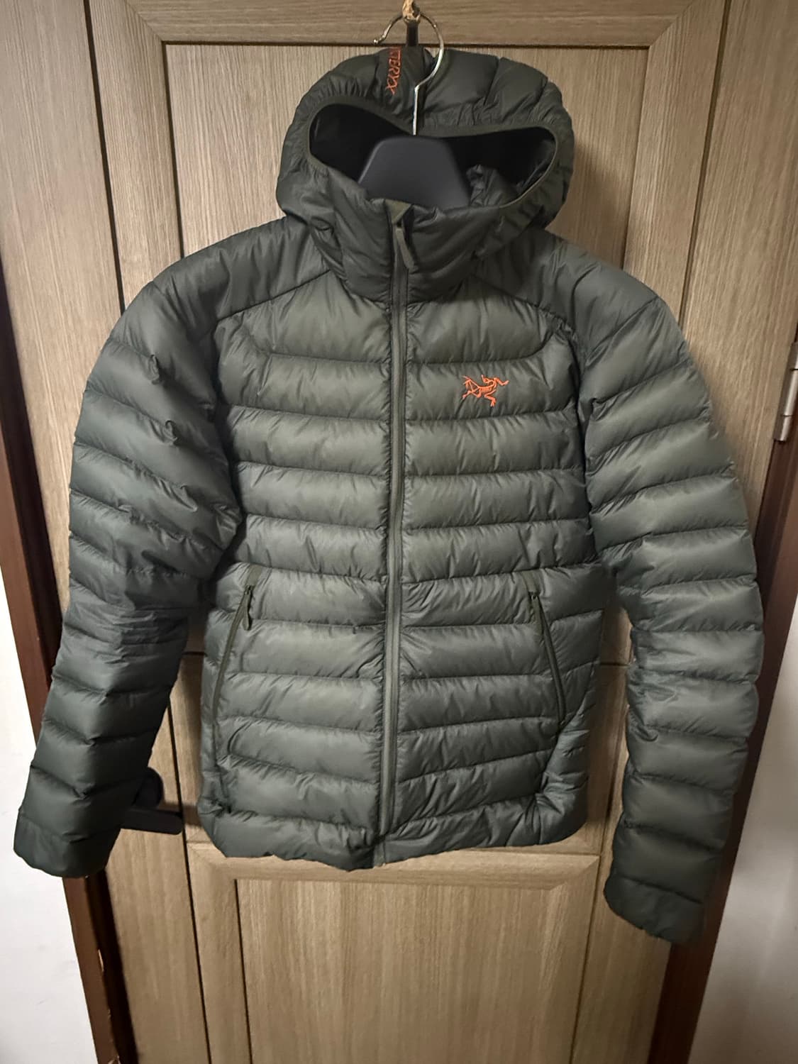 아크테릭스 25FW 세륨 후디 포리지베르베 상품이미지1