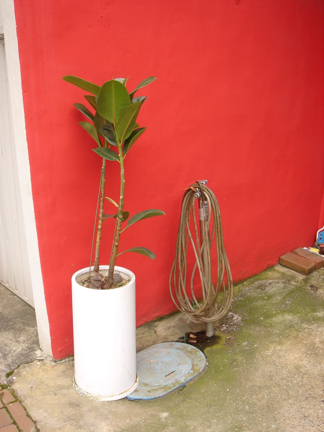 소니 사이버샷 DSC M2 - 사진 있음  상품이미지5