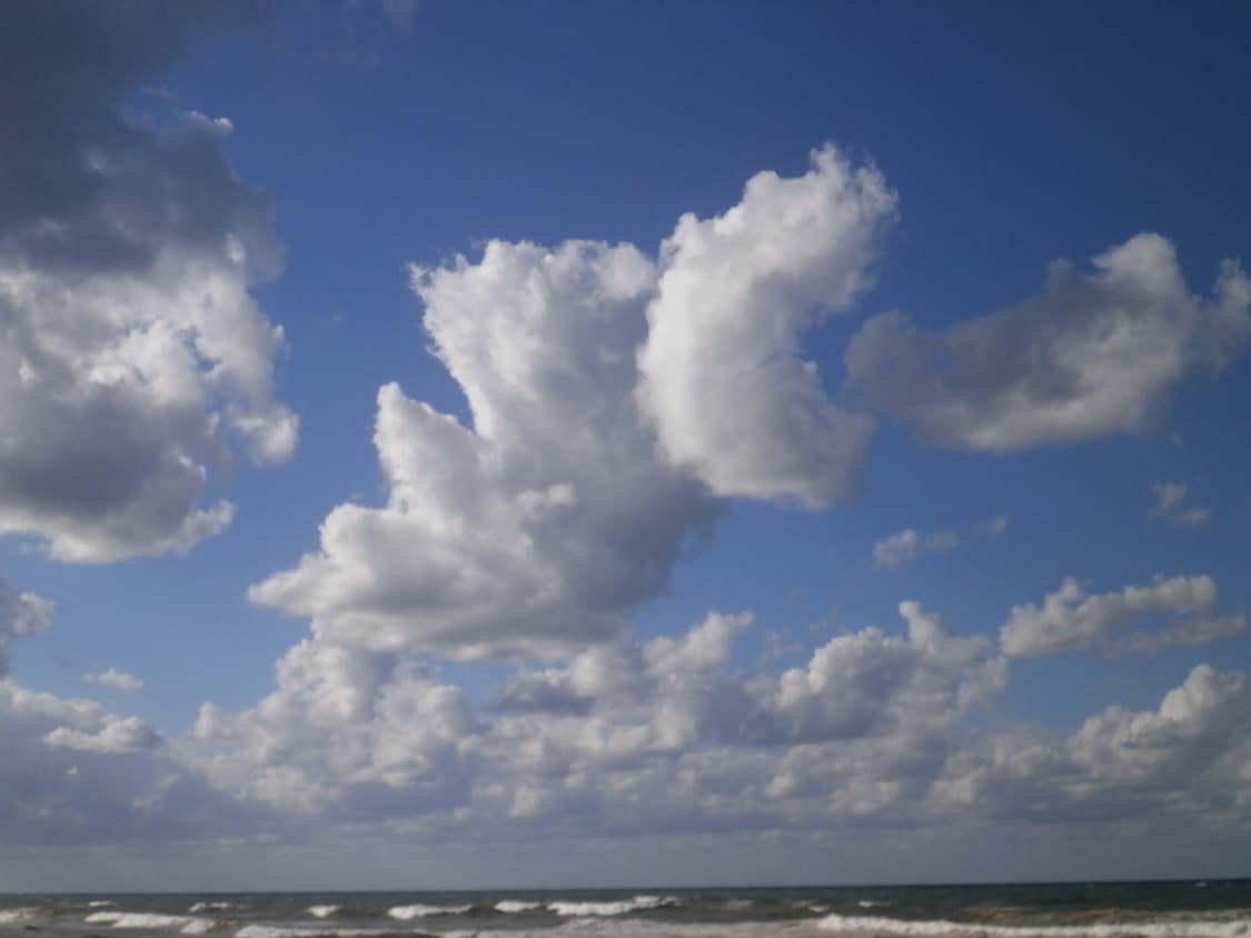 (한국어 지원) 올림푸스 Olympus VH-410  상품이미지8