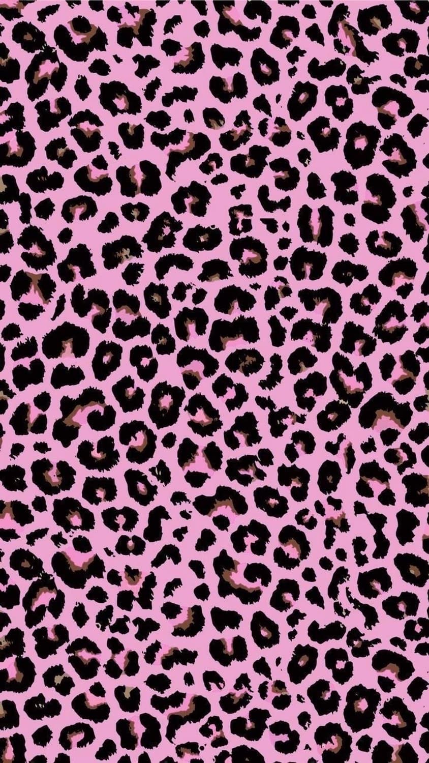 ㅇㅇㄴ님 결제창 상품이미지1