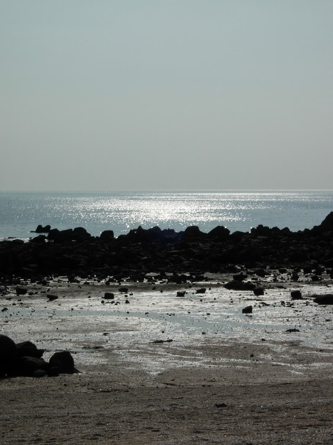 니콘 쿨픽스 4200 (작례O) 상품이미지5