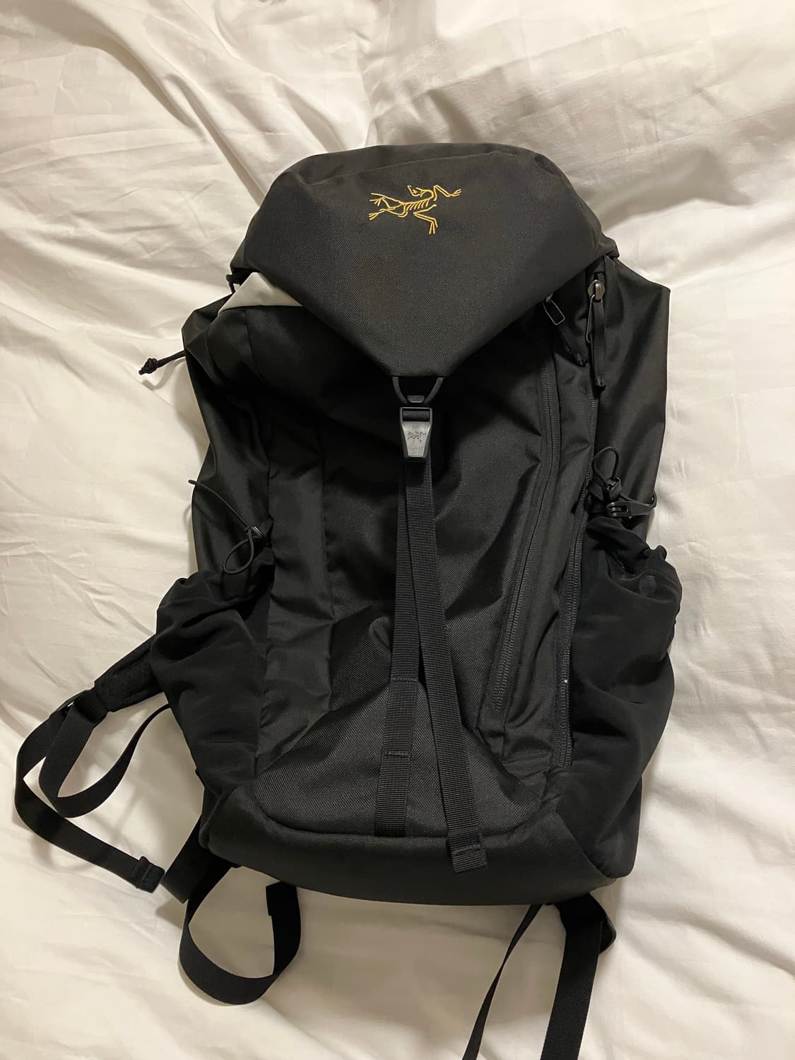 아크테릭스 맨티스 20 상품이미지2