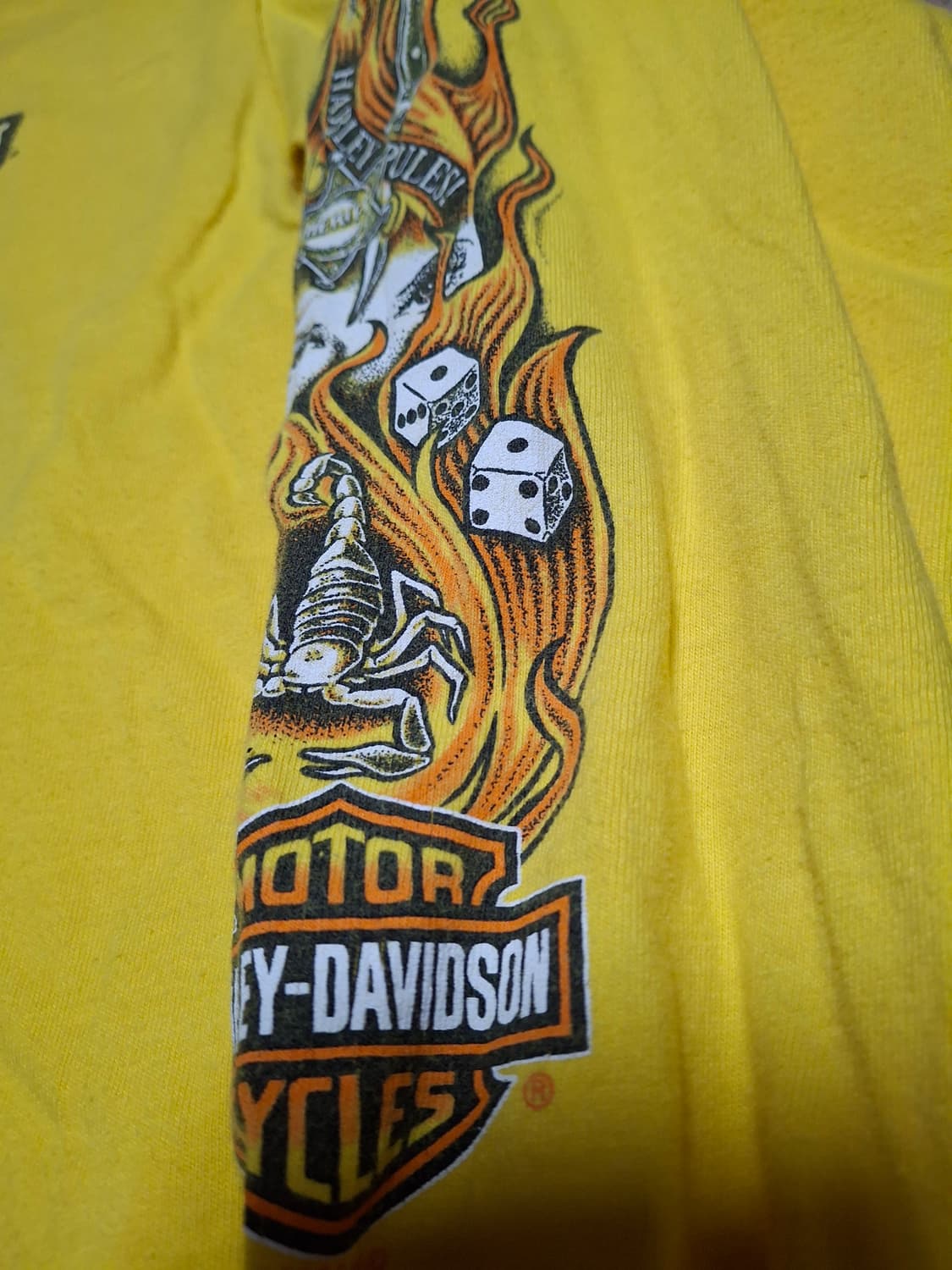 00s 할리데이비슨 헤인즈비피티 플레임 패턴 롱슬리브 티셔츠 usa 상품이미지3