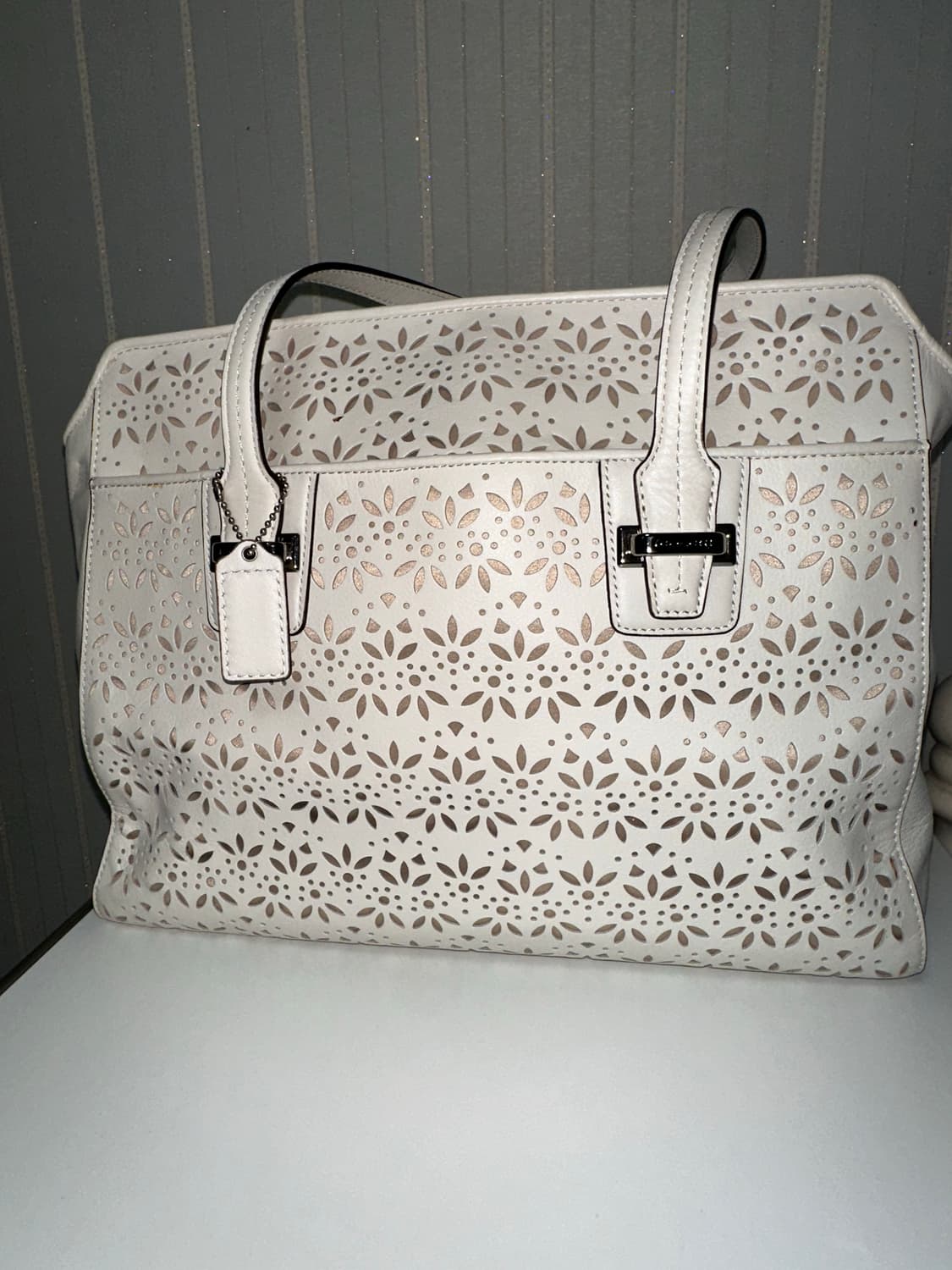 코치 아일렛 레더 백 상품이미지2