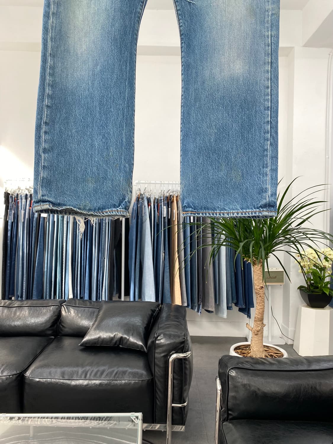 Levis501 Straight Fit 00s 35사이즈 a4842 상품이미지3