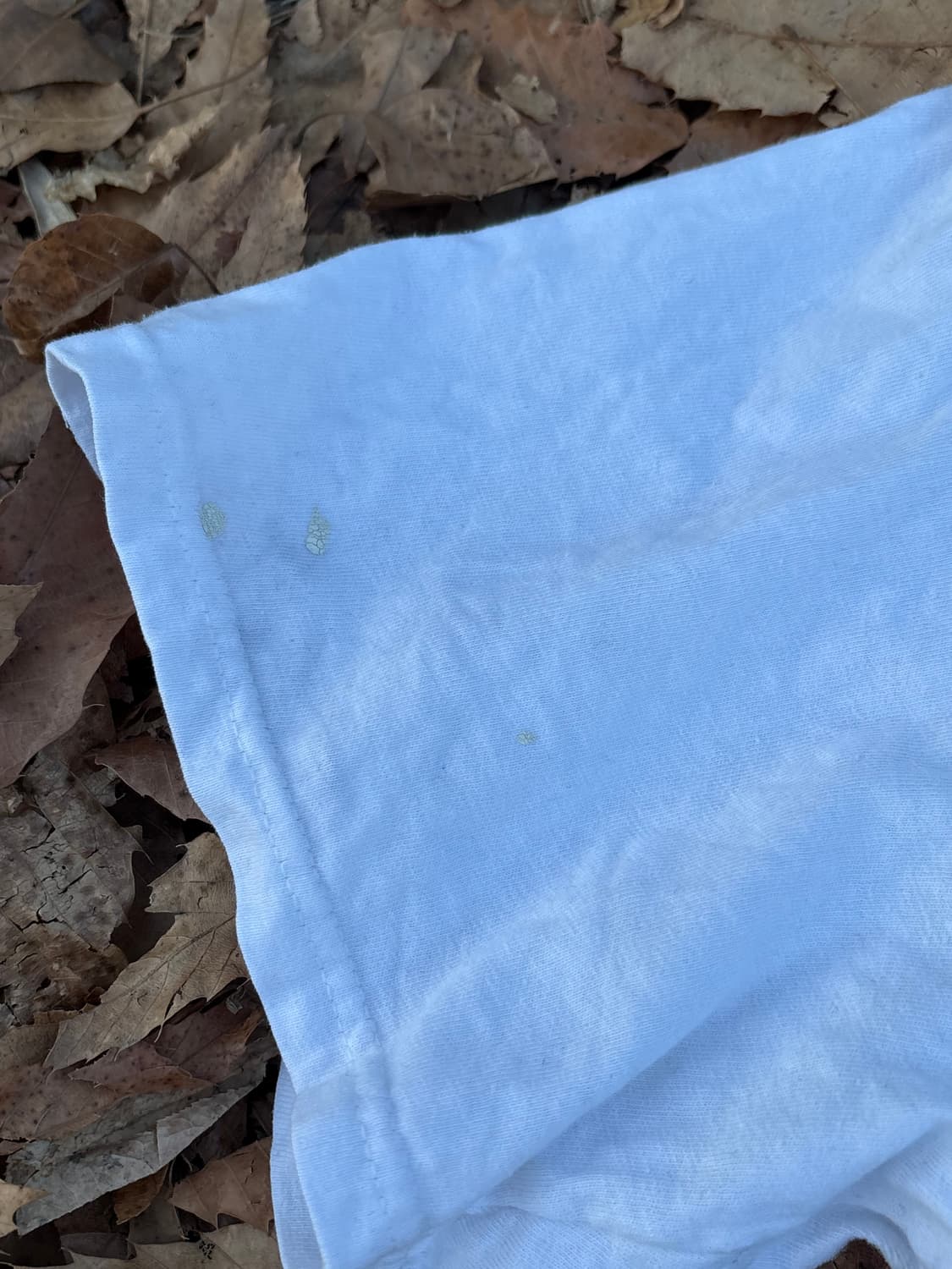 90s vintage apple go go go 빈티지 애플 상품이미지4