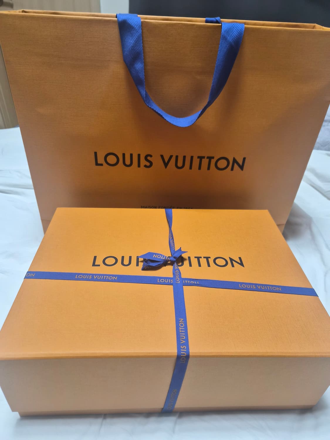 루이비통 바이아 PM 상품이미지8