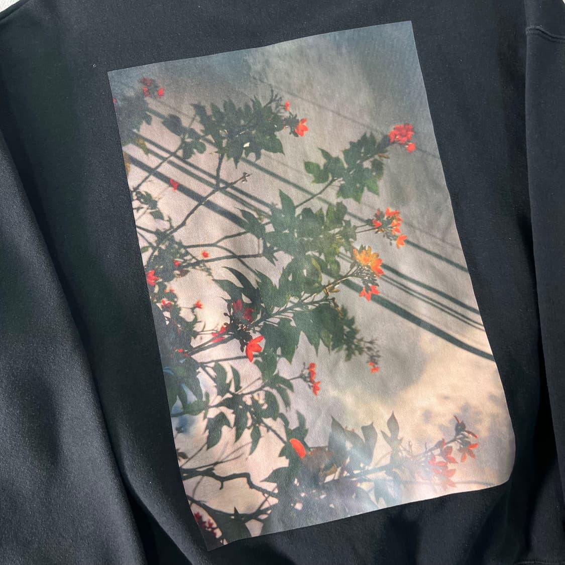 105 피오갓 에센셜 포토 프린팅 맨투맨 상품이미지5