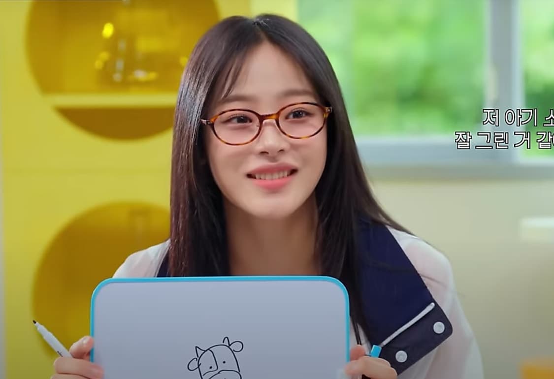 DPEW 리가드 오발 뿔테 안경 호피 선글라스 뉴진스 패션 갸루 상품이미지4