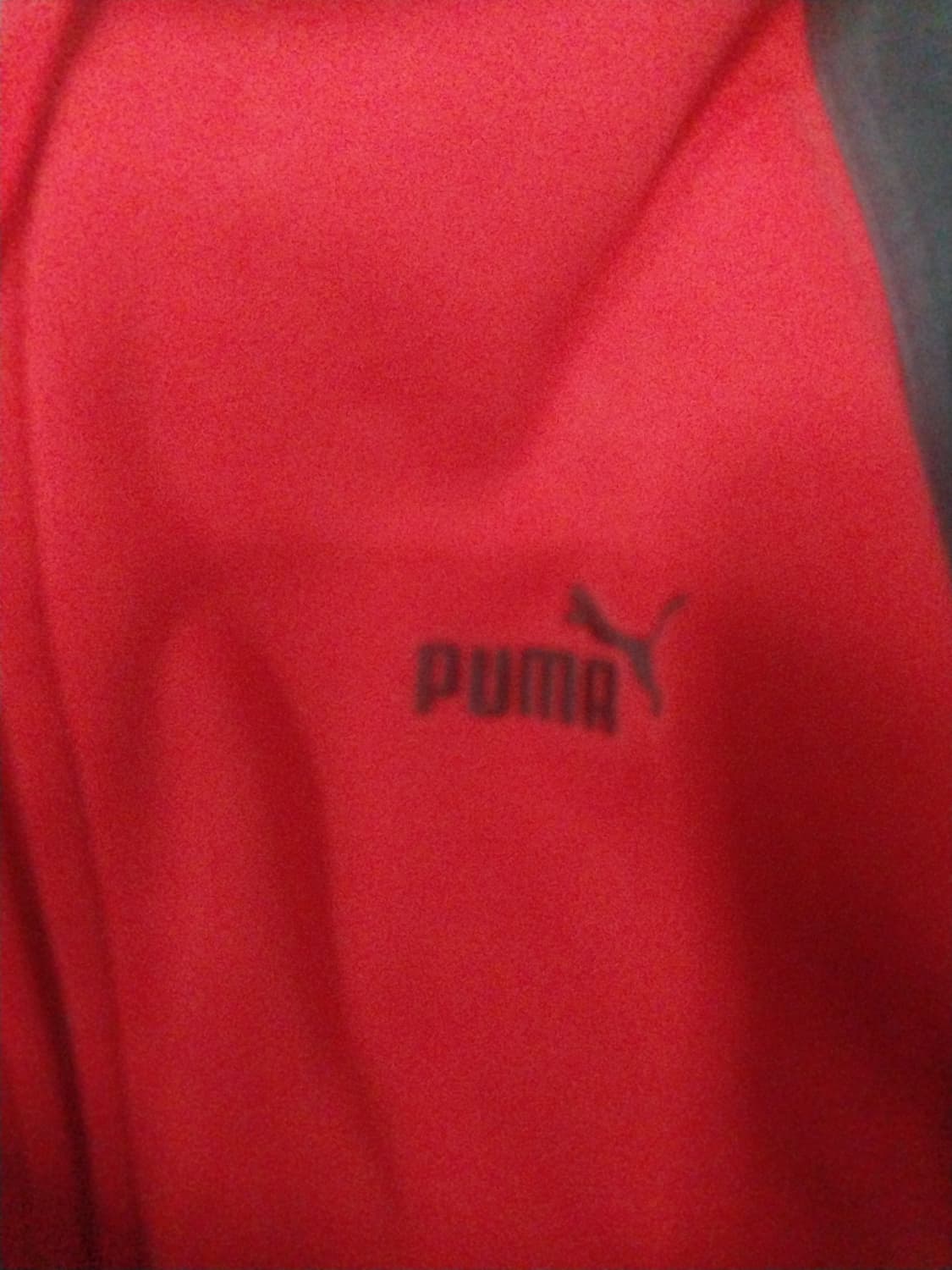 퓨마 후드집업 팝니다  상품이미지2