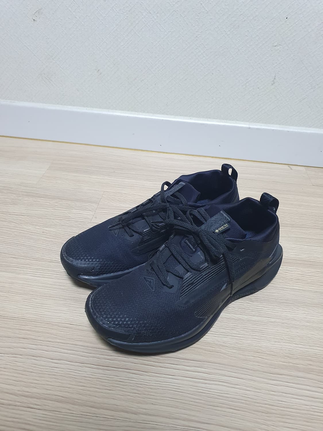 나이키 페가수스 트레일 5 고어텍스 260 상품이미지4