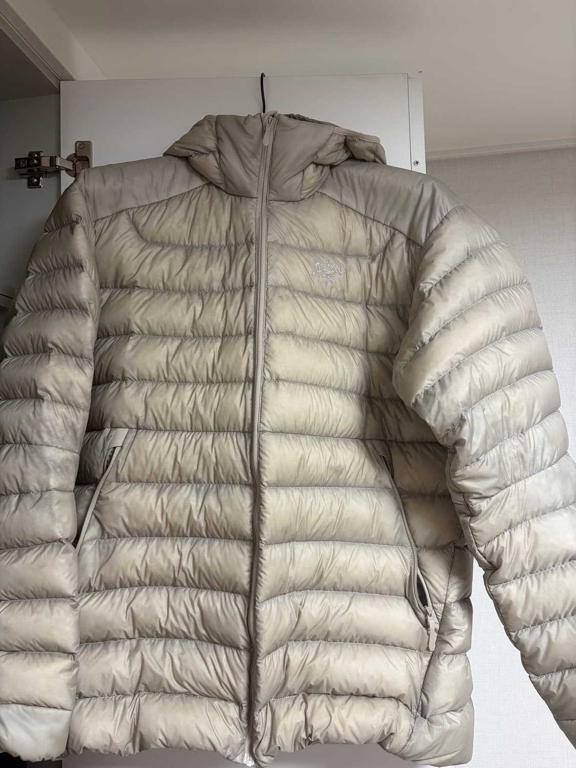 아크테릭스 세륨 룬 L 상품이미지1