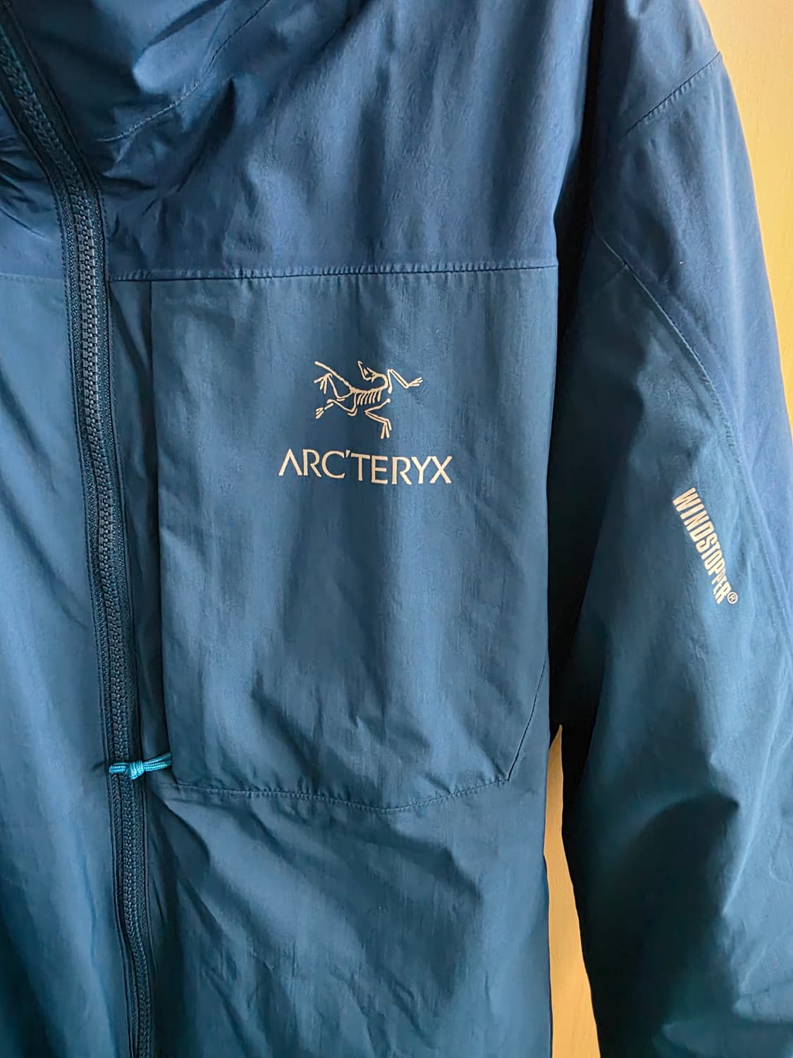 아크테릭스 카파 후디 L 상품이미지4