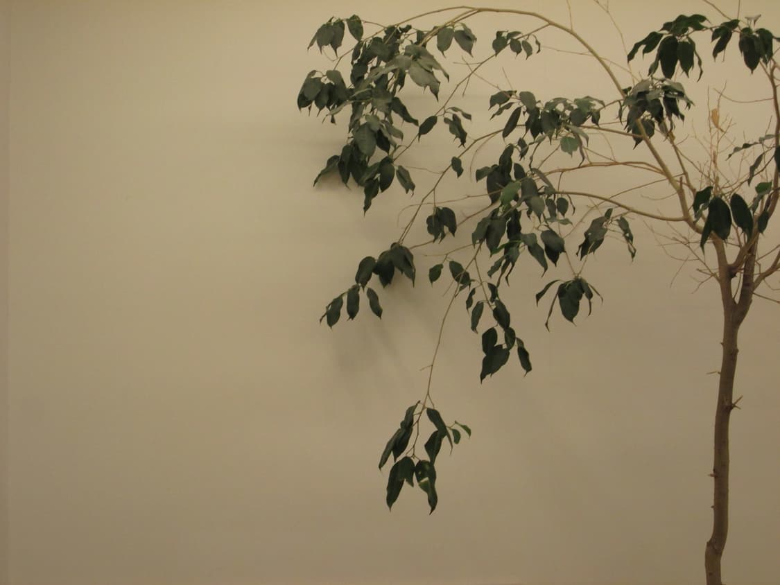 환연 지연 빈티지 디카 캐논 파워샷 A2400 IS 상품이미지10