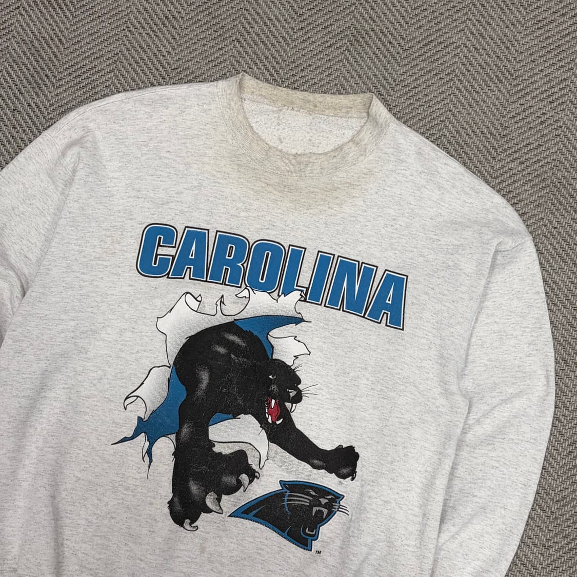 90s 캐롤라이나 팬서 스웻셔츠 v1059 상품이미지3