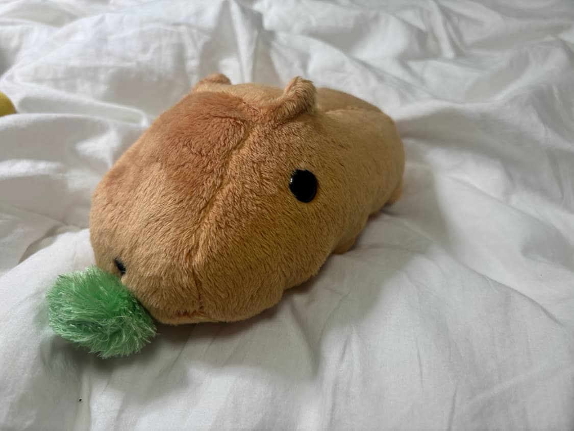 잡초 카피바라상 ! (작동 확인 X) 상품이미지2