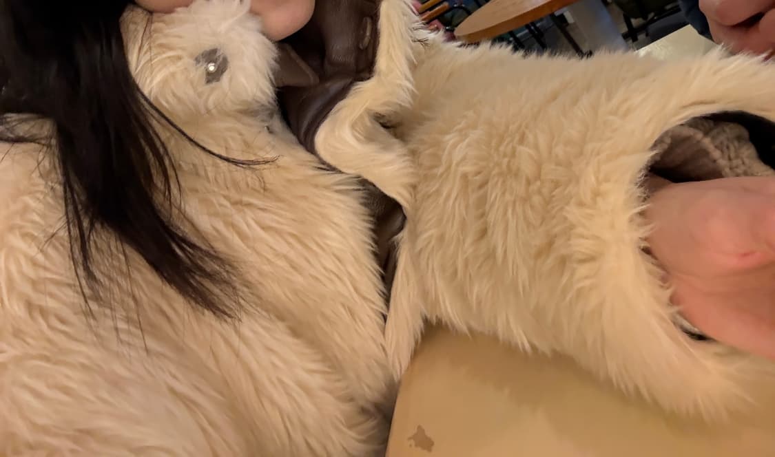 스탠드스튜디오 두나 코트 - 솔리드 크림 32사이즈 상품이미지8