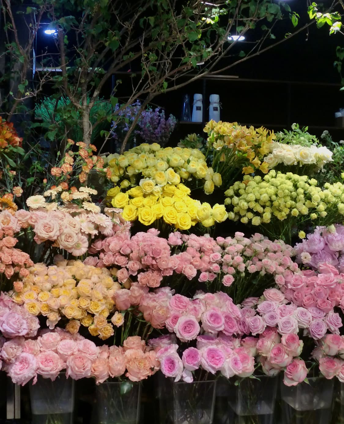 카시오 엑슬림 z330 (작례O) 상품이미지9