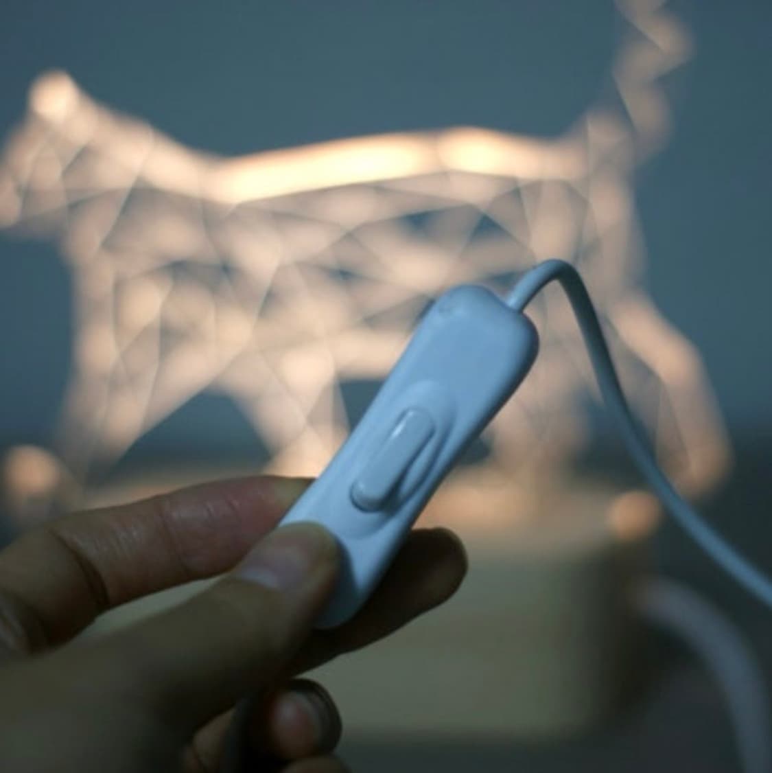 고양이 3D LED 아크릴 무드등 상품이미지4