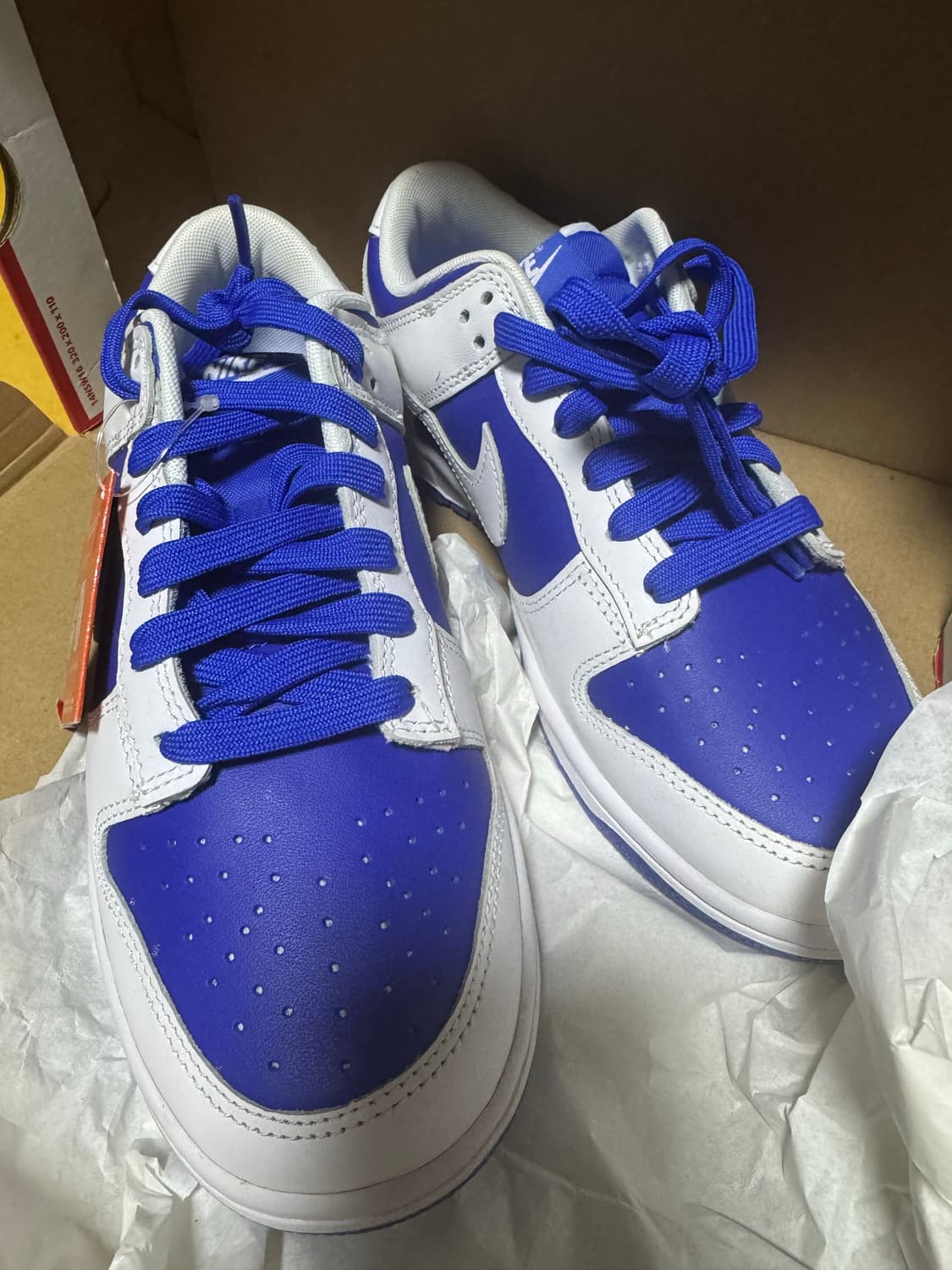 나이키 덩크로우레트로 블루화이트 상품이미지2