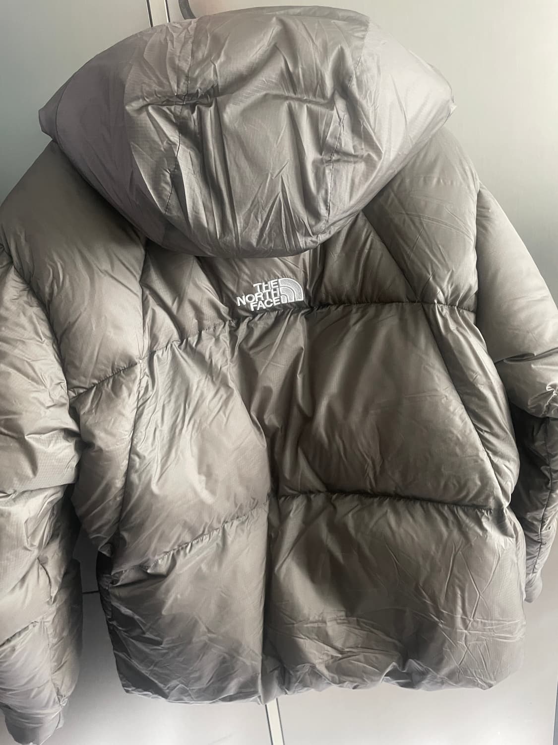 노스페이스 프로젝트 다운 자켓 RDS 브라운 - 25FW 상품이미지2