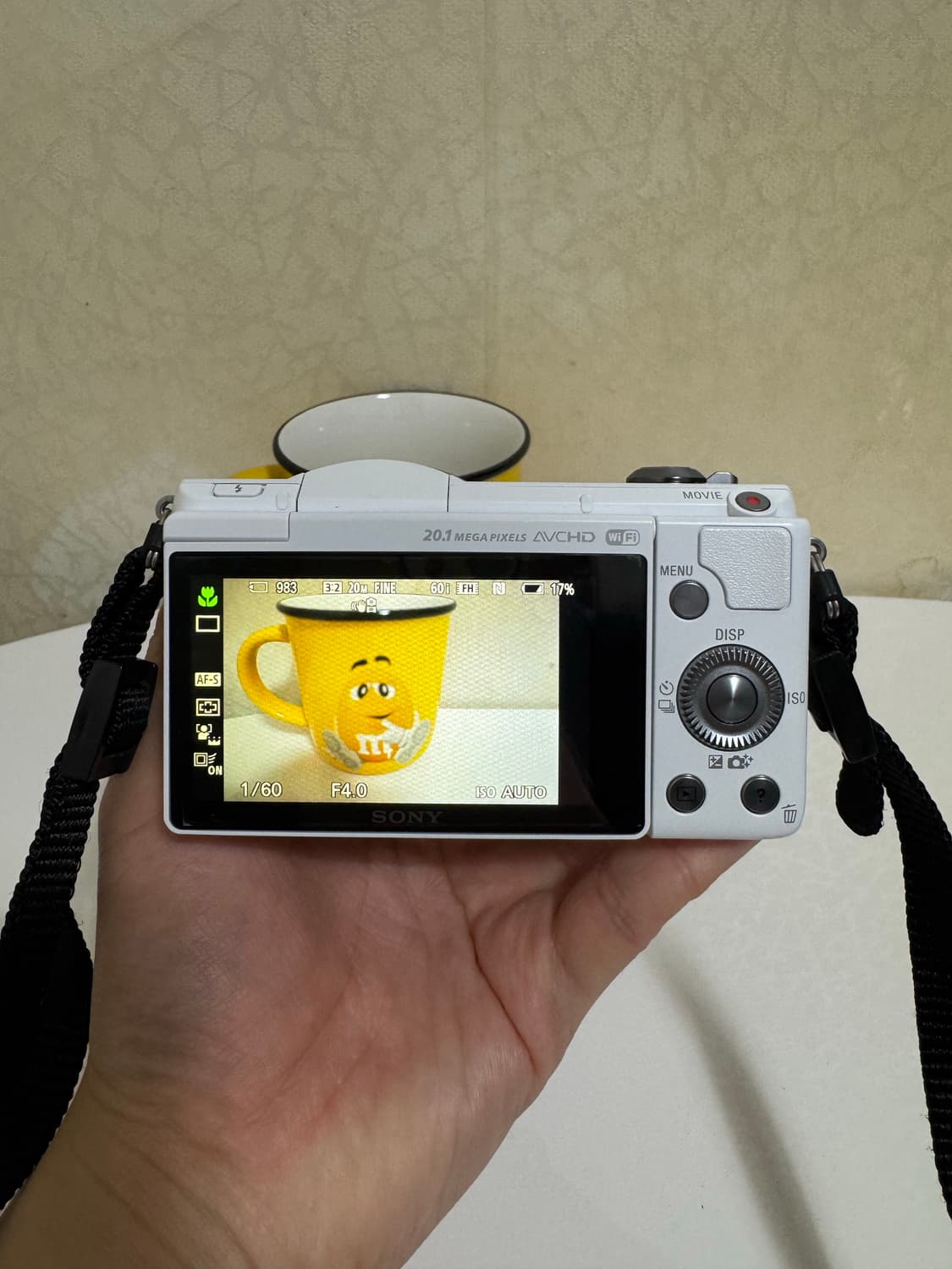 소니 sony A5000 디카 상품이미지3