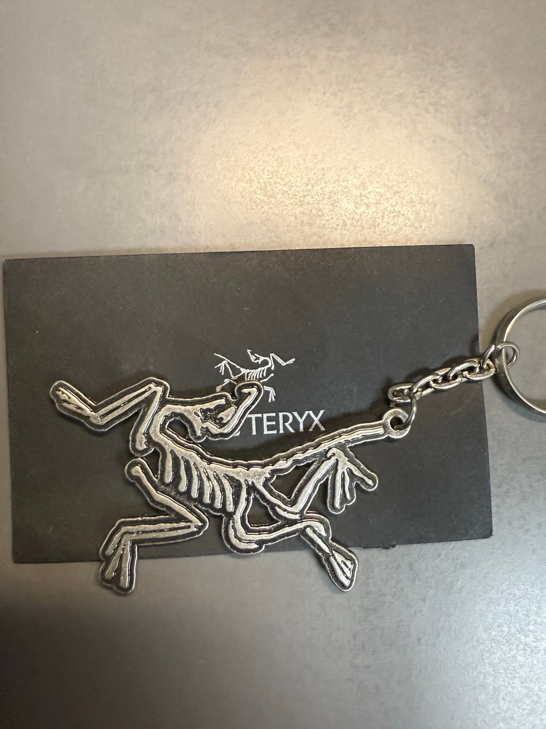 아크테릭스 키링 상품이미지1