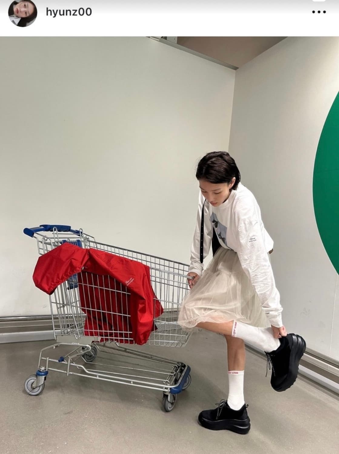 *새상품 아카이브앱크 X 리본빛 240 상품이미지2