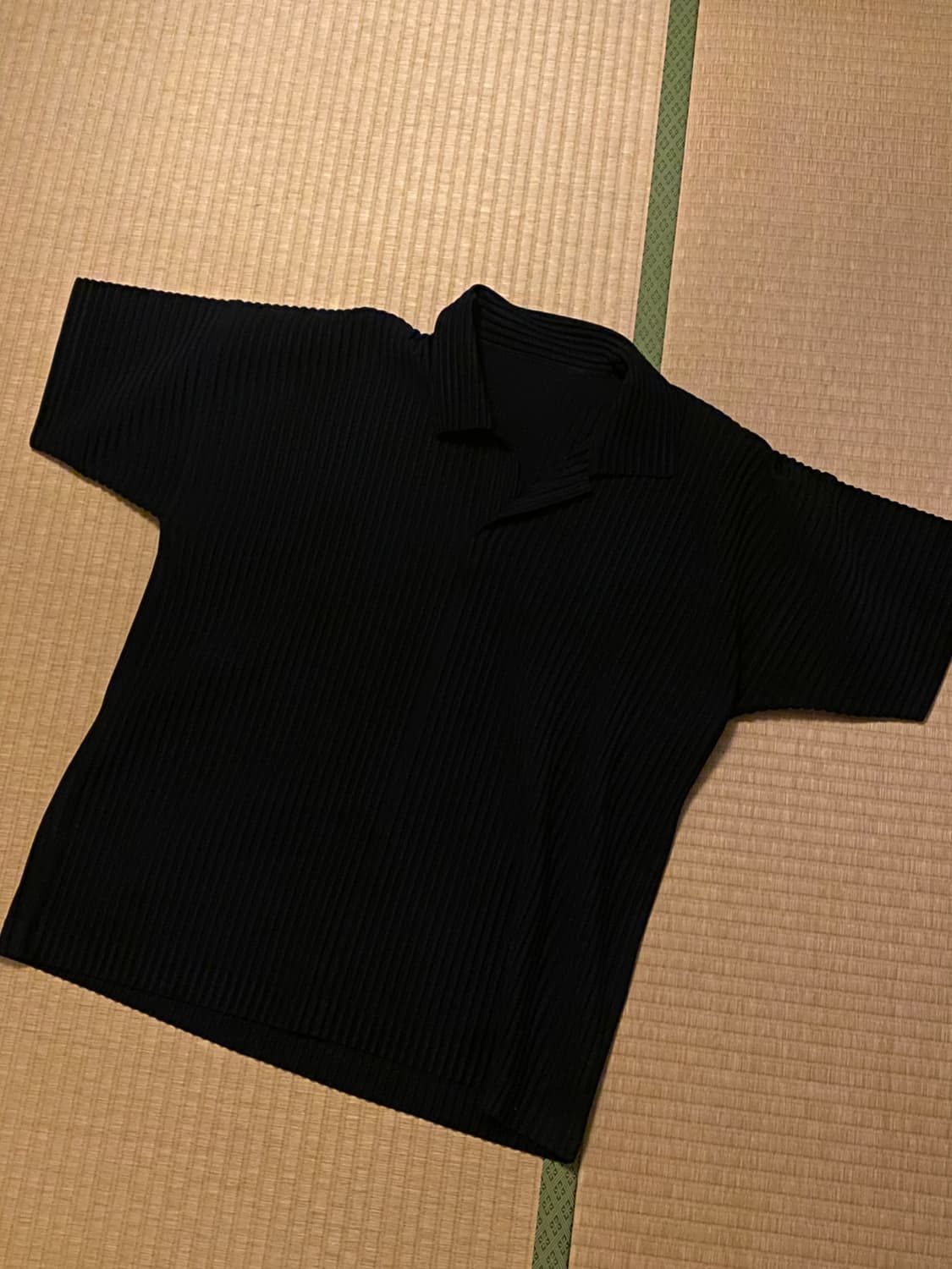 이세이미야케  옴므플리세 피케티 2사이즈 상품이미지2