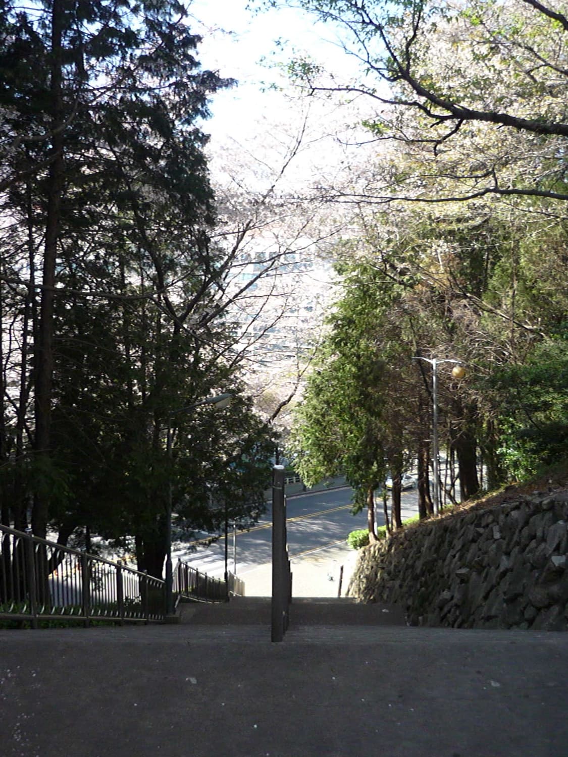 컨디션S급❗️ 작례⭕️ 파나소닉 루믹스 DMC-FS3 블랙 디지털카메라 상품이미지10