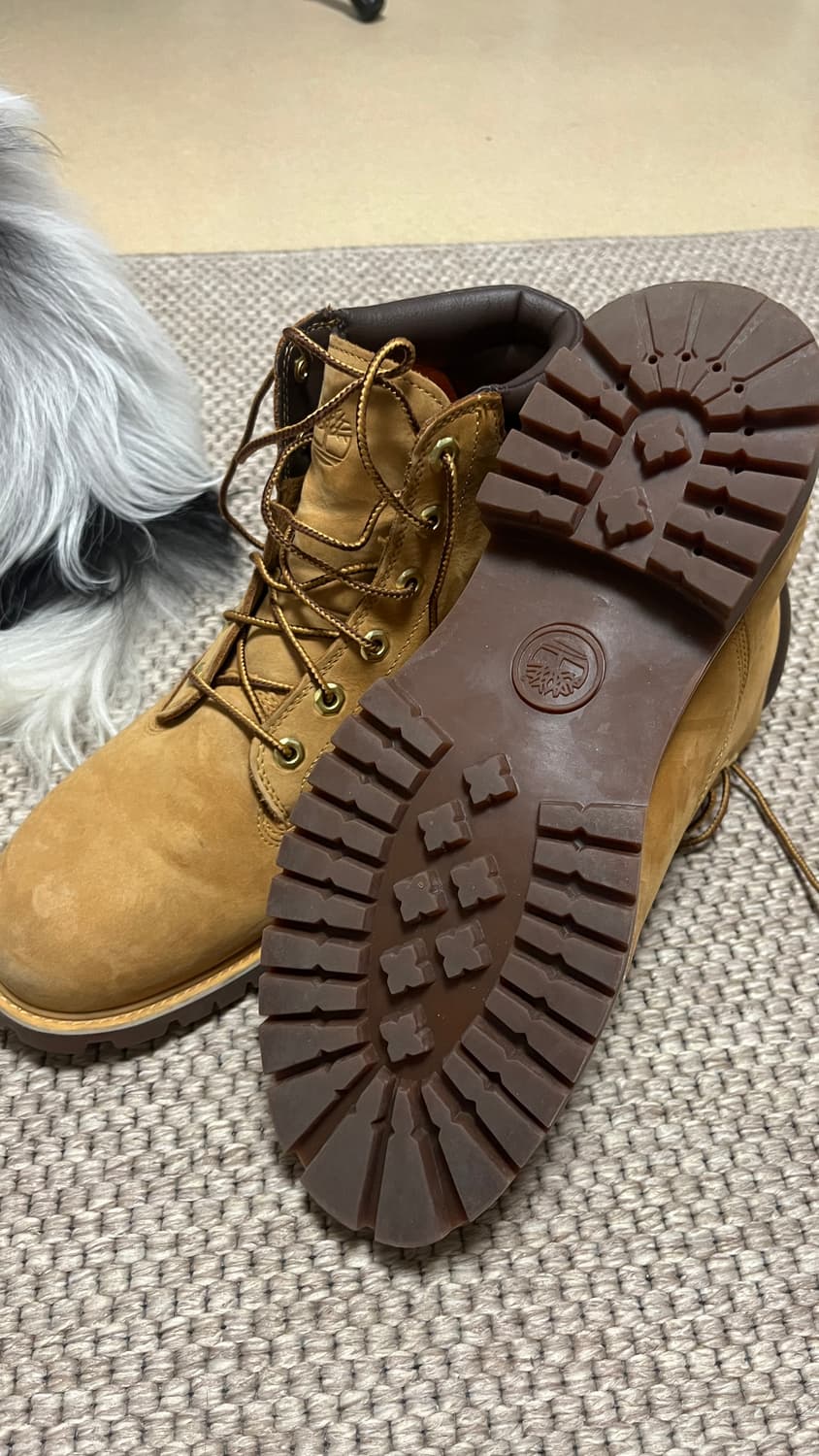 팀버랜드 6인치 부츠 275 상품이미지3