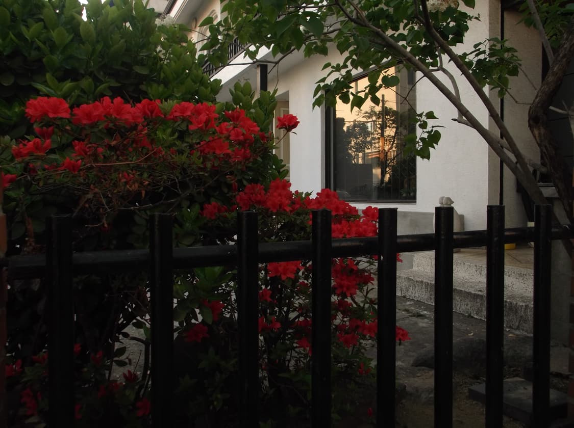 작례o)후지 파인픽스 Fujifilm FinePix JX420 빈티지디카 상품이미지6