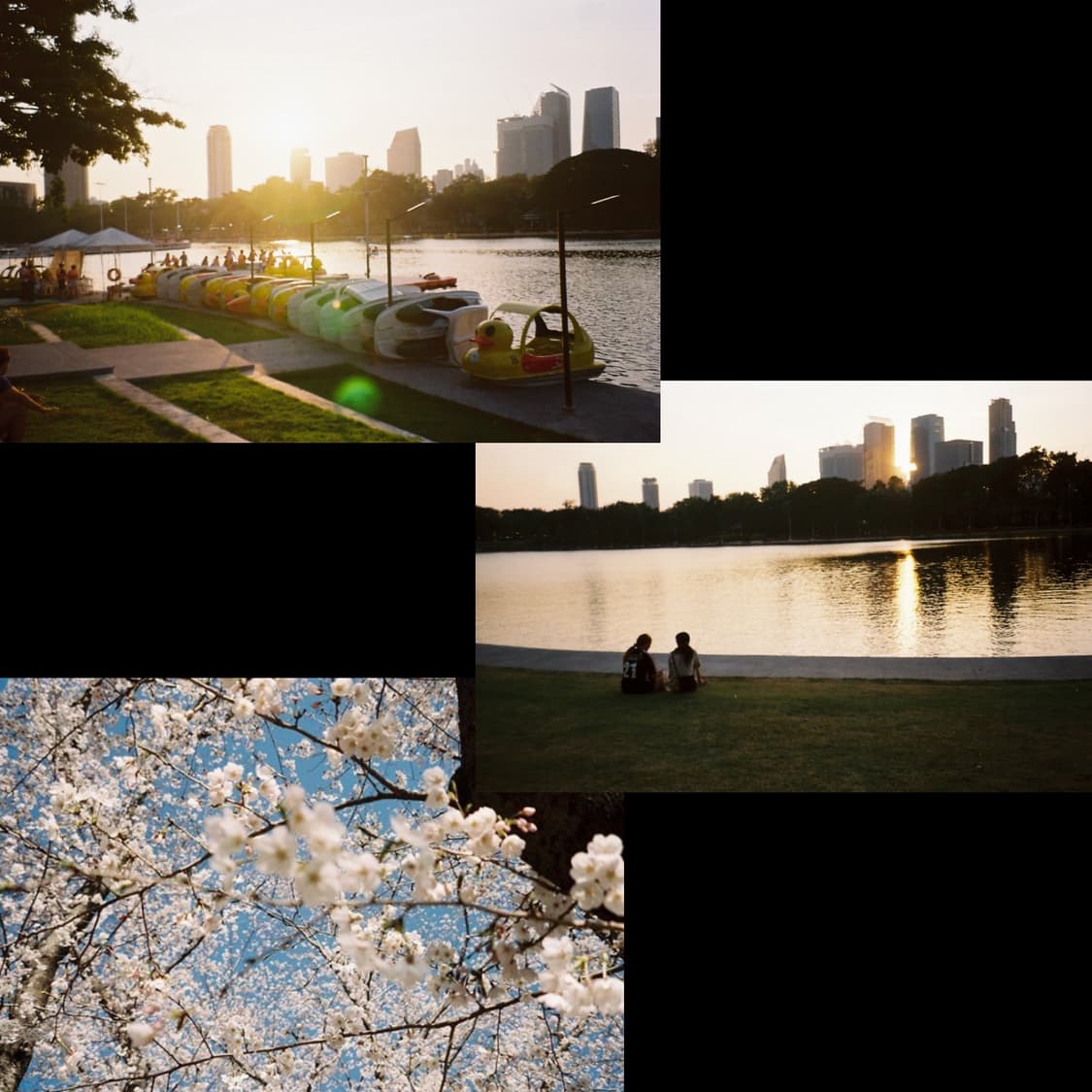 필카 미놀타 sightseer(리바줌70) 판매합니다. 상품이미지4