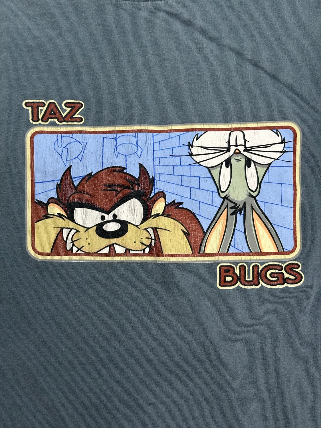 1998' Taz & Bugs 카툰 티셔츠 XL 상품이미지4