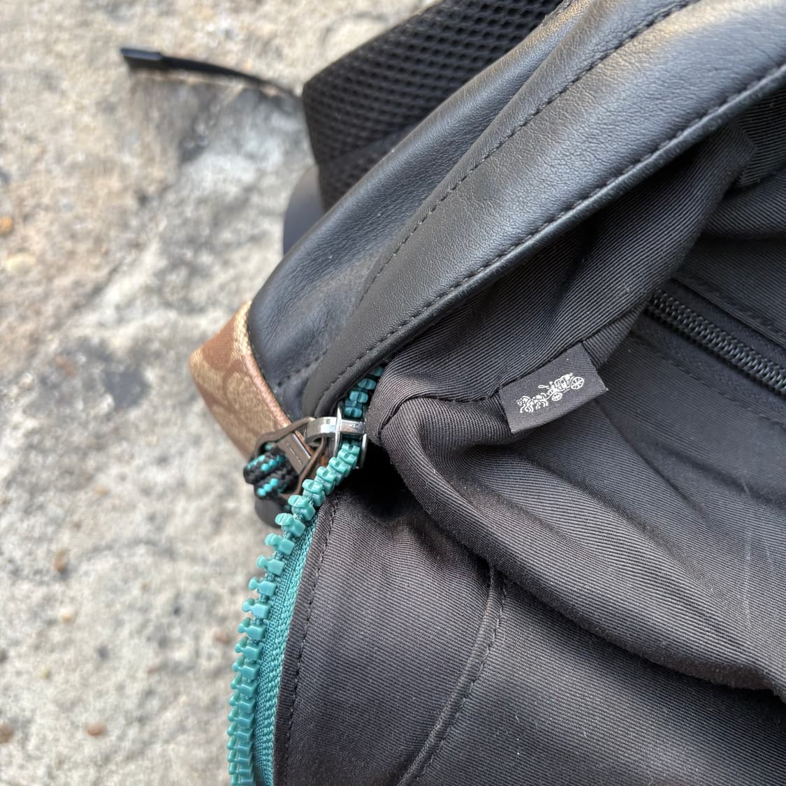 코치 x GUANG YU 레더 트림 코팅 캔버스 백팩 상품이미지9