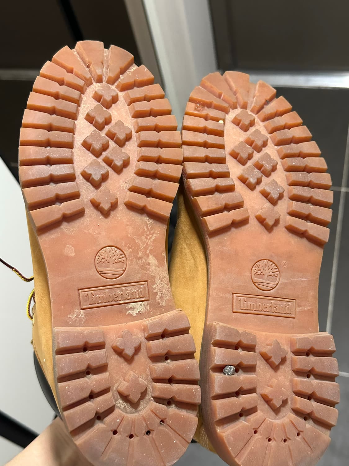 팀버랜드 6인치 워커 280 상품이미지6