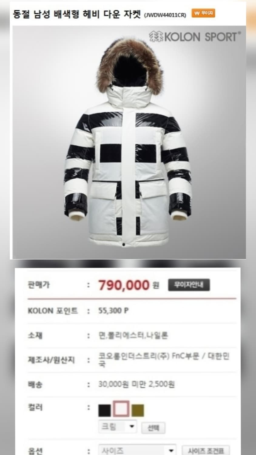 코오롱스포츠 남성 구스패딩 100 헤비다운자켓 XD20 상품이미지7