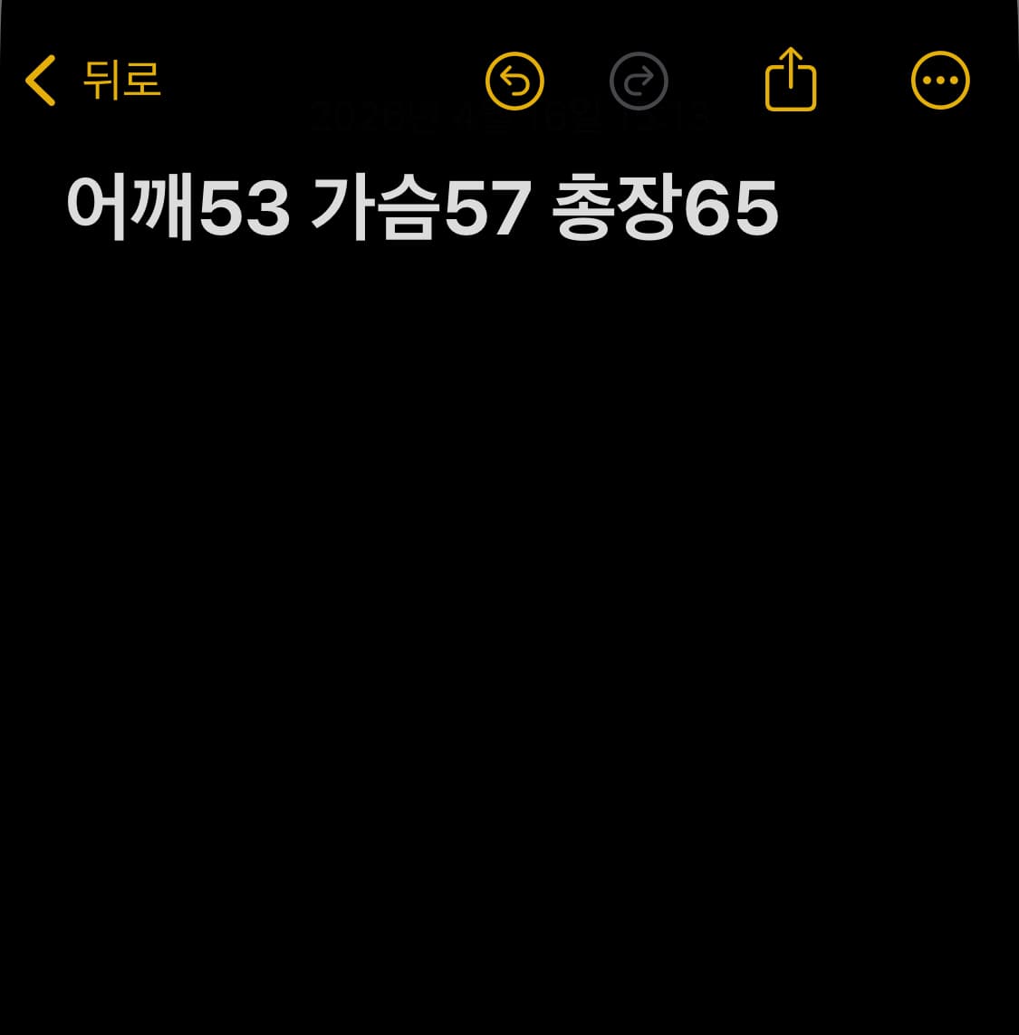 레드재플린 밴드티 상품이미지7