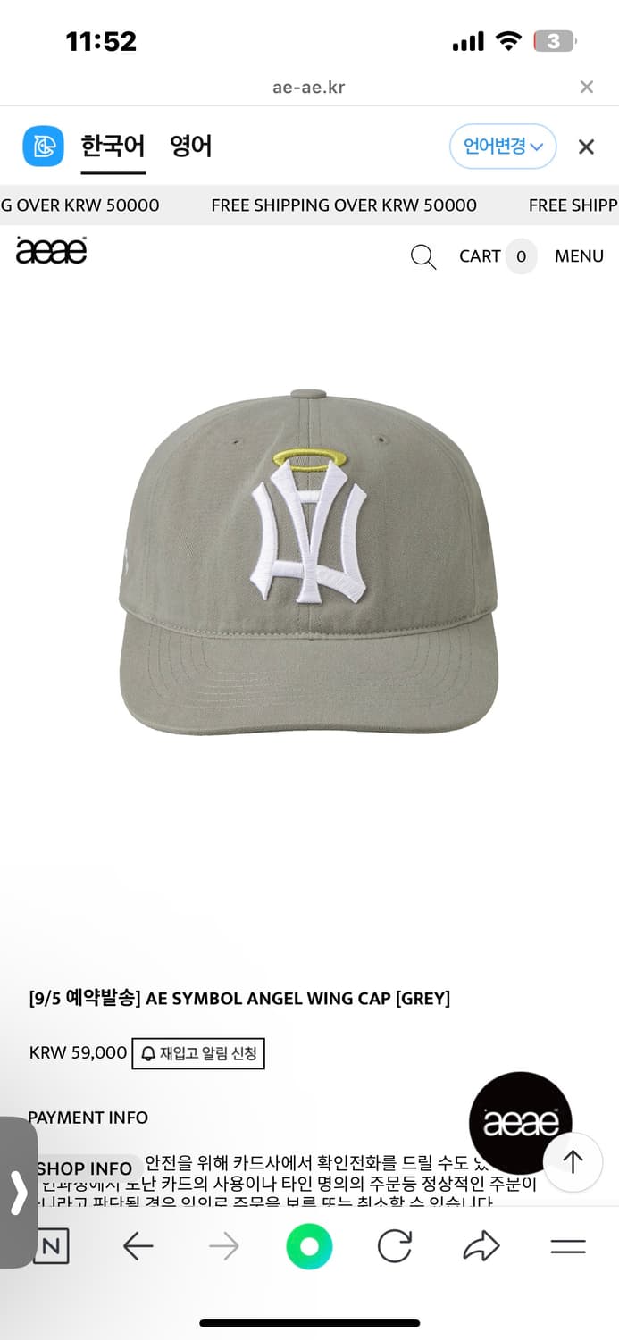 AE SYMBOL ANGEL WING CAP GREY  상품이미지1