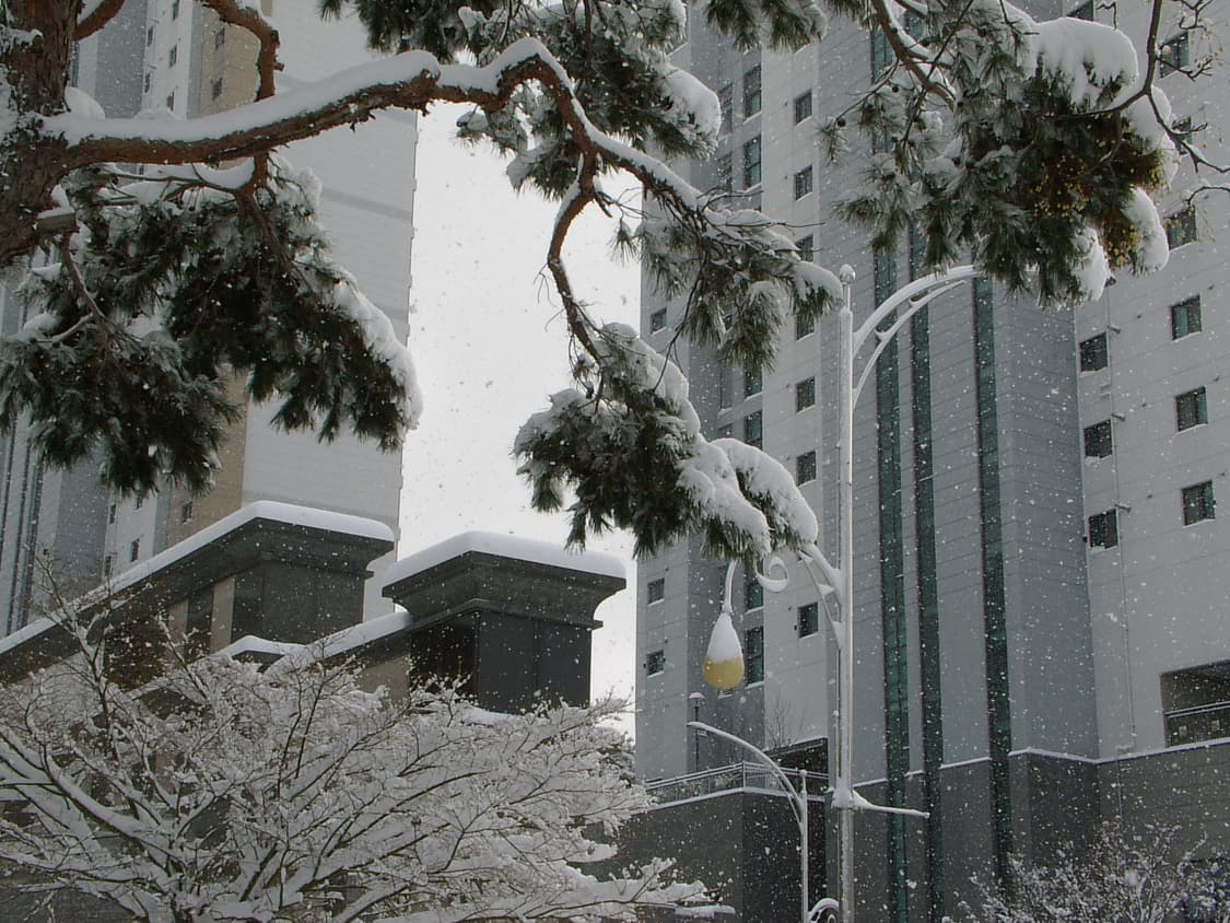 작례/풀박) Pentax optio mx4 펜탁스 빈티지 캠코더 디카 상품이미지10