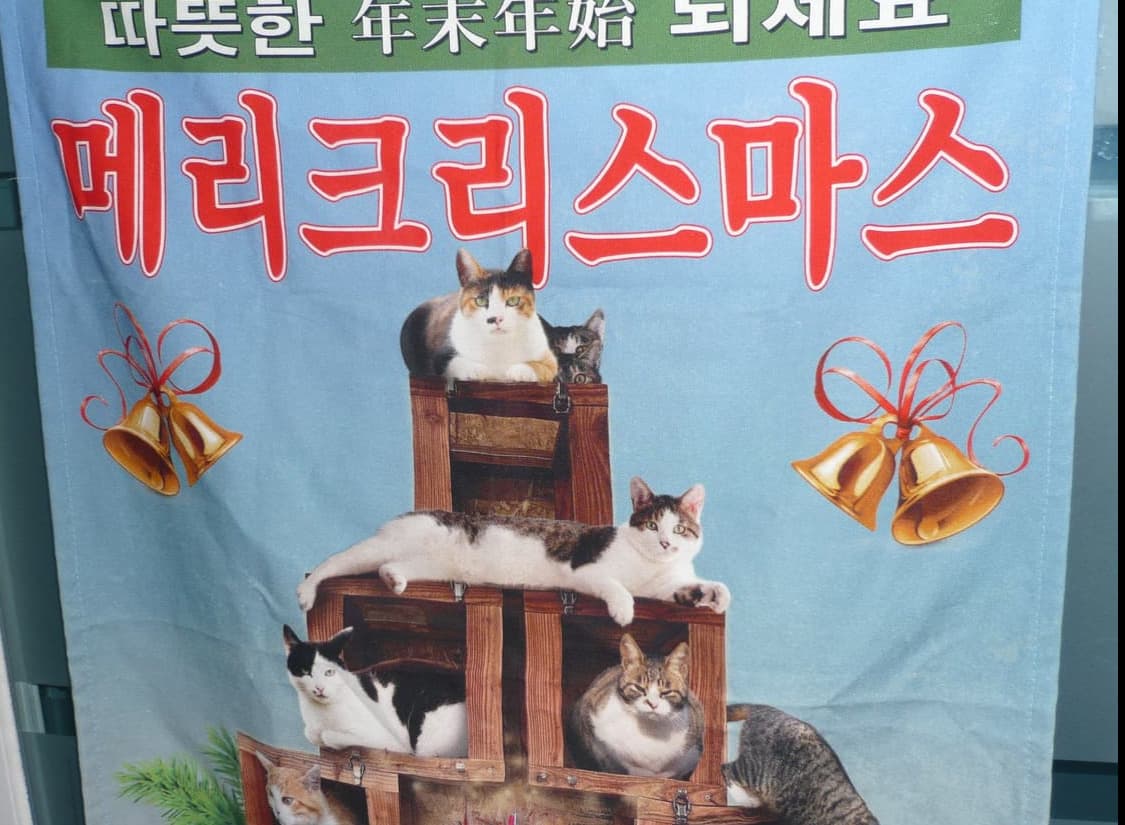 카시오 EXILM ex-zs5 디지털카메라 빈티지디카 상품이미지10