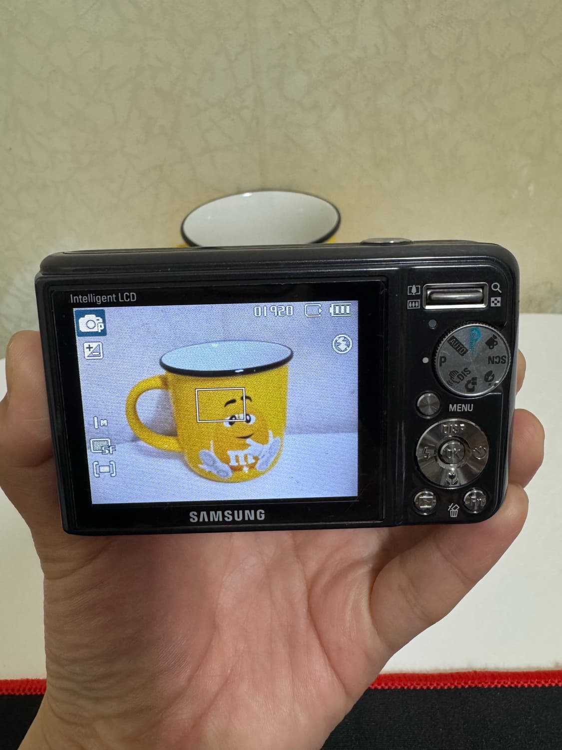 삼성 VLUU PL55 디카 상품이미지2