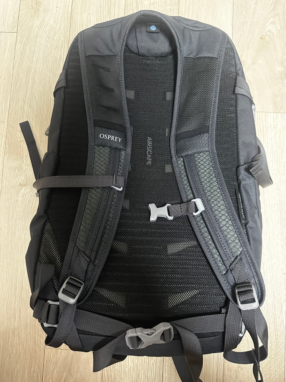 오스프리 데이라이트 플러스 백팩 상품이미지2