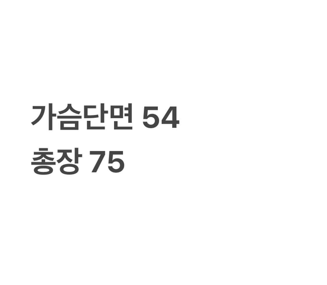 폴로 랄프로렌 레드 셔츠(95) 상품이미지4