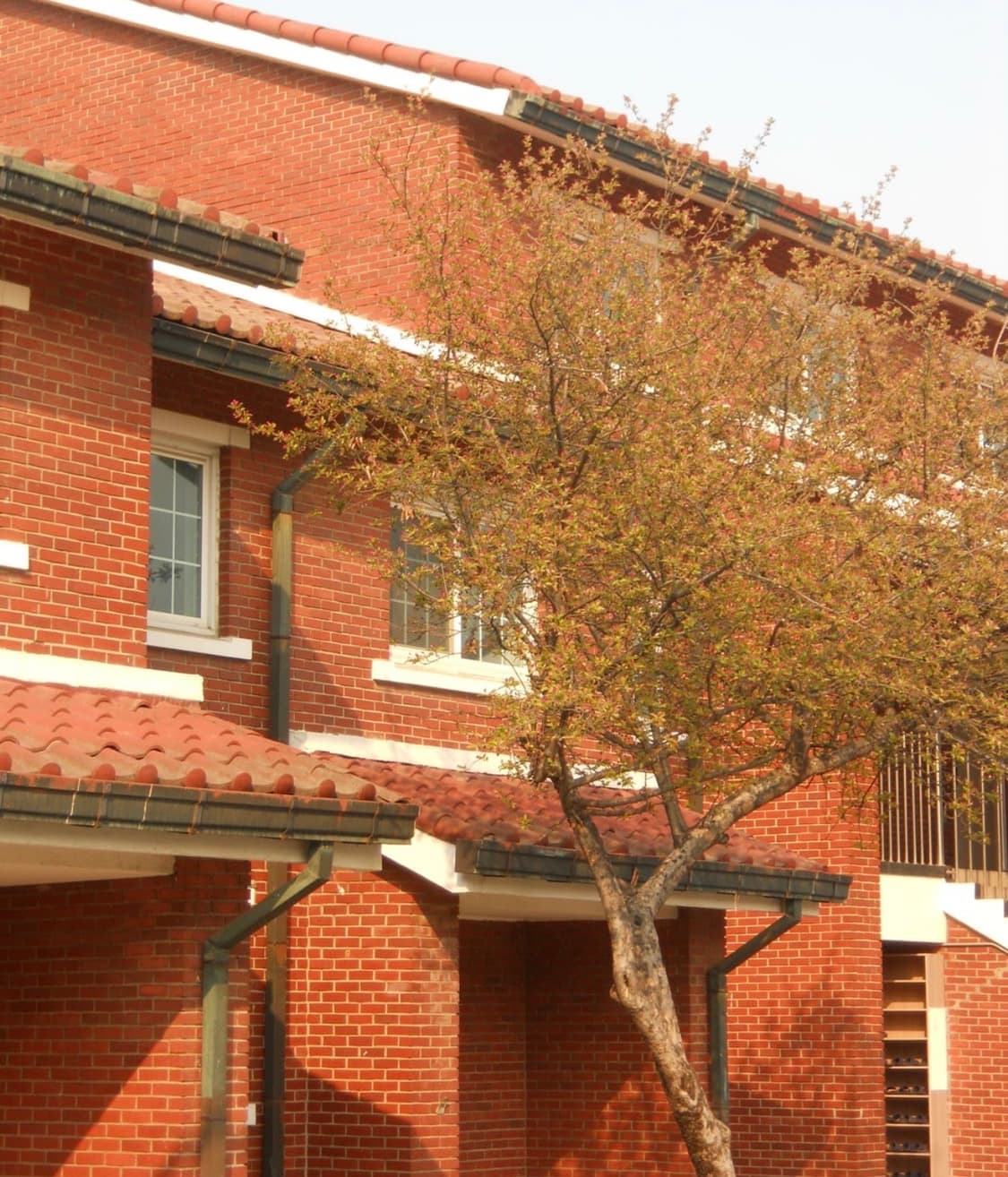 급처/작례O) 니콘 쿨픽스 S500 nikon coolpix S500 상품이미지7