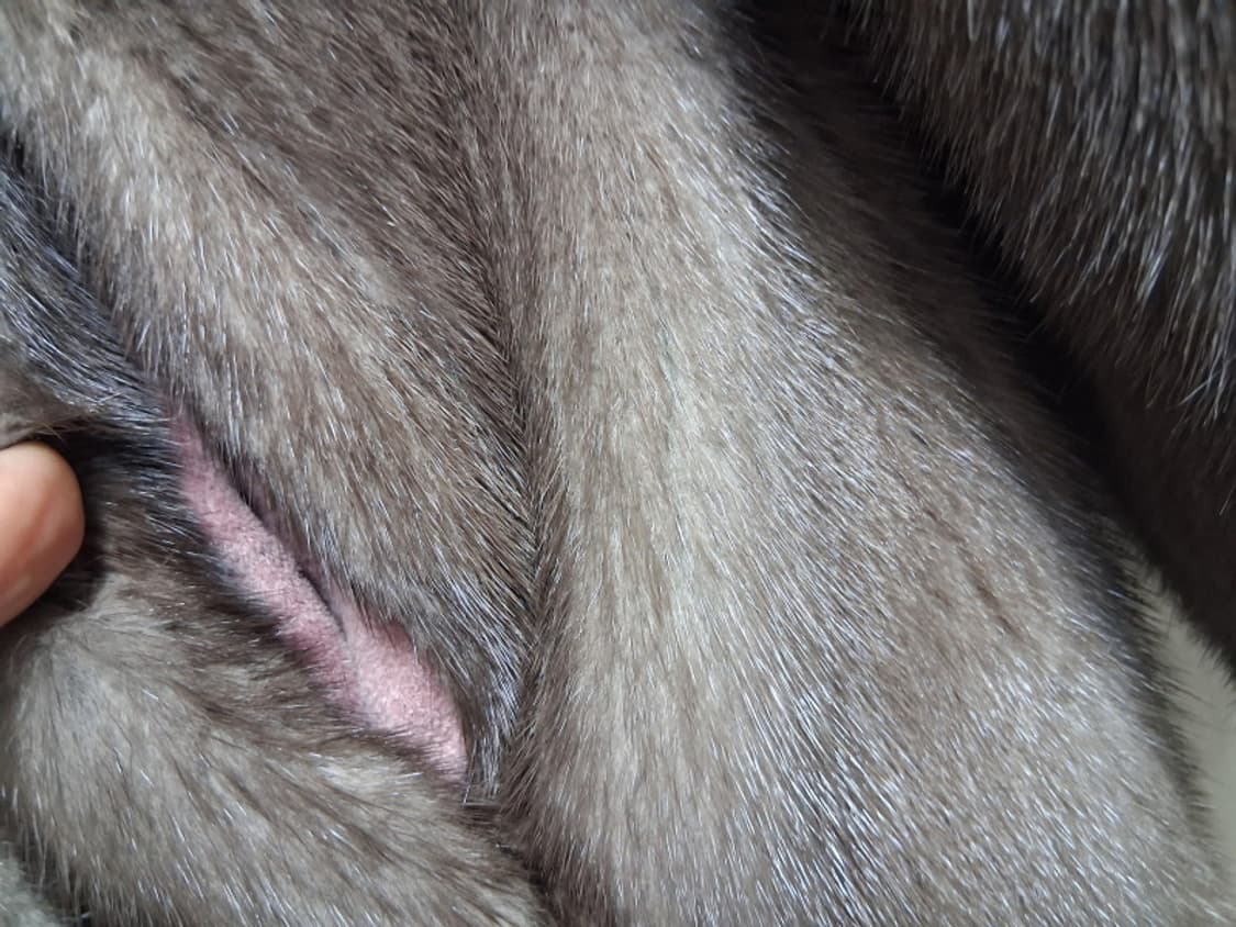 대동밍크 북앙세리카 별5개 NAFA 휘메일밍크코트 66까지 상품이미지7